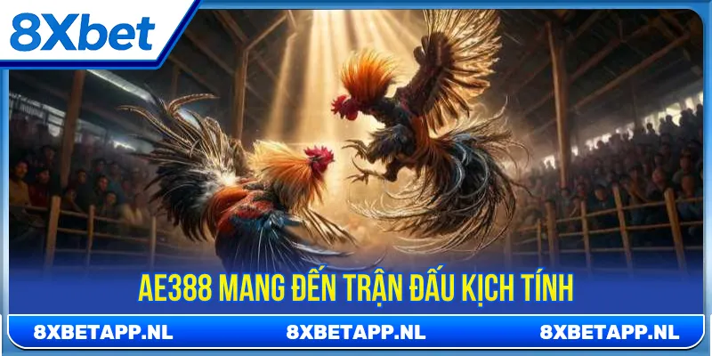 AE388 đá gà tích hợp đa dạng cuộc so tài đẳng cấp