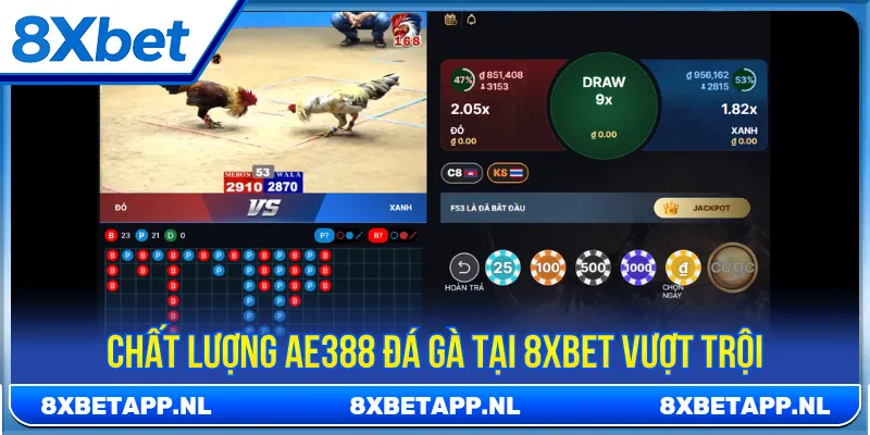 Sức hút của sảnh AE388 đá gà khi kết hợp với 8Xbet