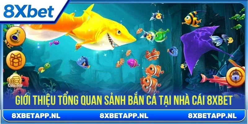 Giới thiệu tổng quan sảnh bắn cá tại nhà cái 8XBET