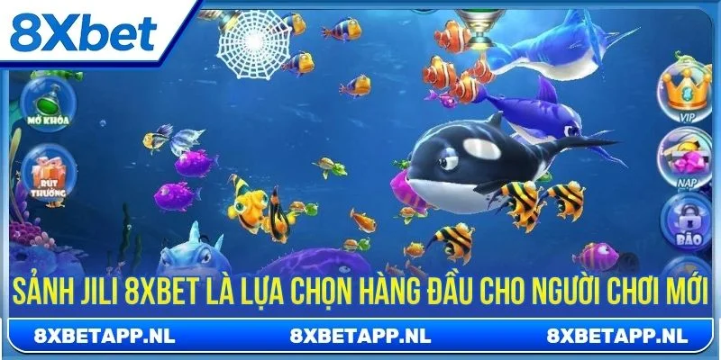 Sảnh Jili 8XBET là lựa chọn hàng đầu cho người chơi mới