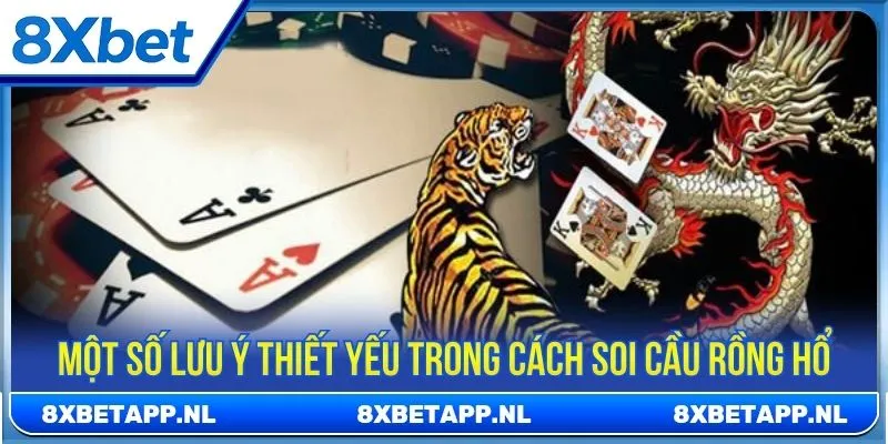 Một số lưu ý thiết yếu trong cách soi cầu Rồng Hổ