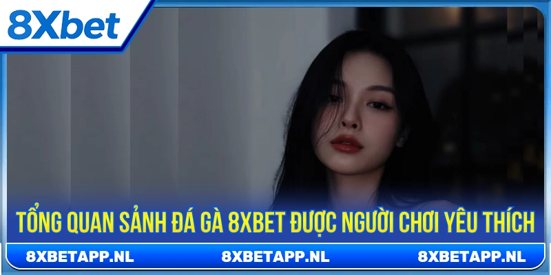 Giới thiệu CEO Lý Thanh Thanh tại 8XBET