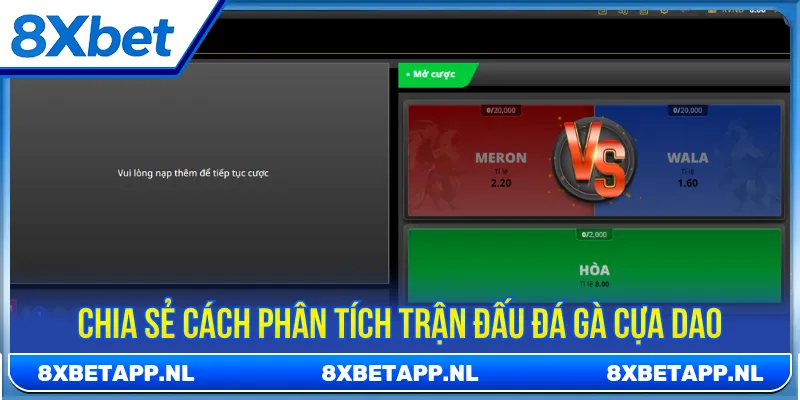 Đá gà cựa dao với chiến thuật phân tích để tăng tỷ lệ thắng