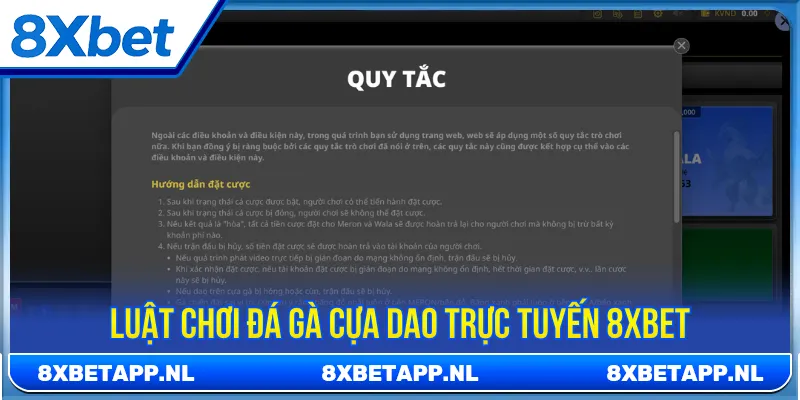 Nhiều cửa cược để người chơi lựa chọn khi tham gia 8Xbet