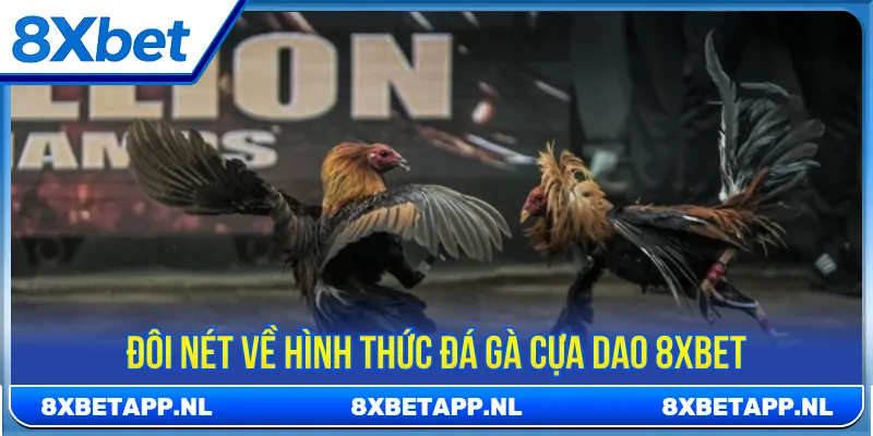 Đá gà cựa dao là hình thức cá cược online chuyên nghiệp