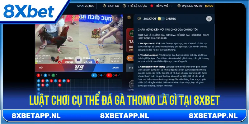 Tìm hiểu rõ về hình thức giải trí đá gà Thomo là gì