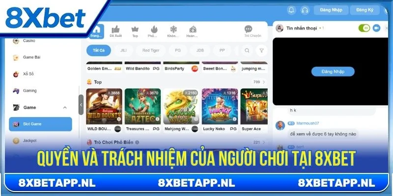 Người chơi có quyền truy cập và sử dụng các tính năng của hệ thống