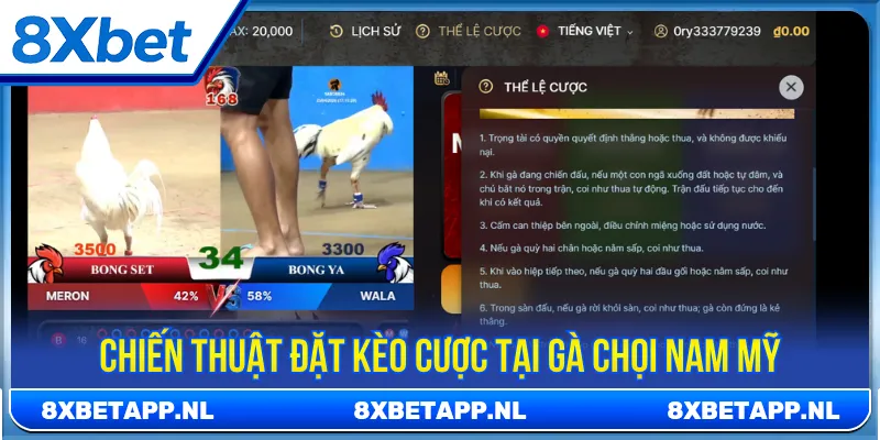 Luôn nắm bắt phong độ chiến kê để cược gà chọi Nam Mỹ
