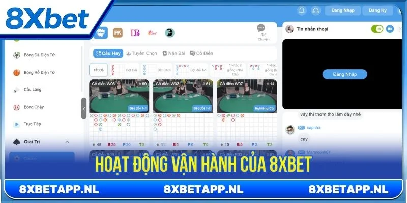 Hoạt động vận hành của 8XBET được xây dựng theo hướng hệ thống hóa