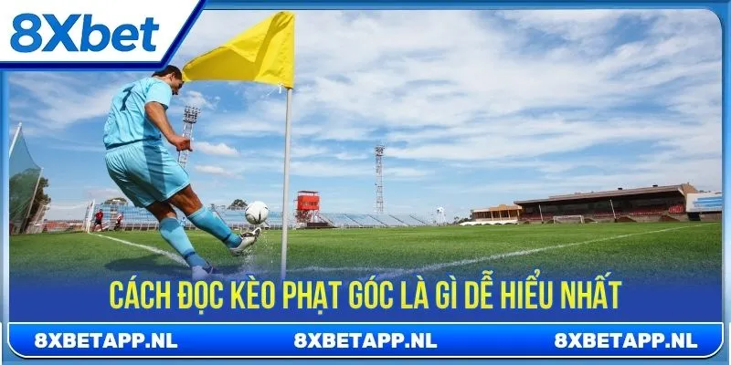 Cách đọc kèo phạt góc là gì dễ hiểu nhất