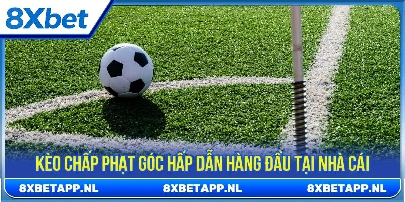 Kèo chấp phạt góc hấp dẫn hàng đầu tại nhà cái
