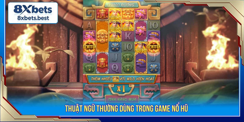 Thuật ngữ thường dùng khi cược Nổ hũ 