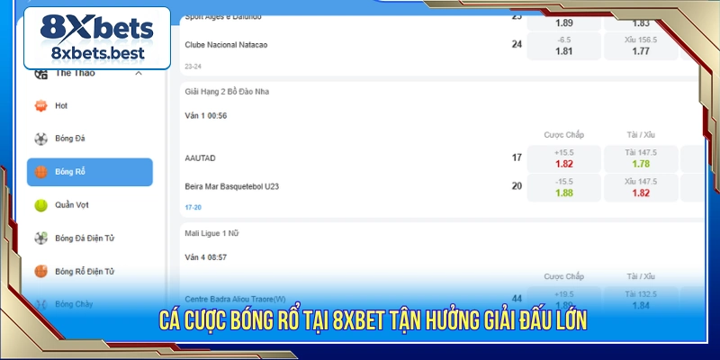 Cược kèo bóng rổ 8XBET cùng nhiều giải đấu lớn thế giới 