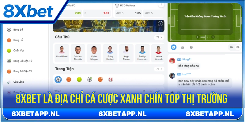 8XBET được công nhận là địa chỉ cá cược xanh chín top thị trường 